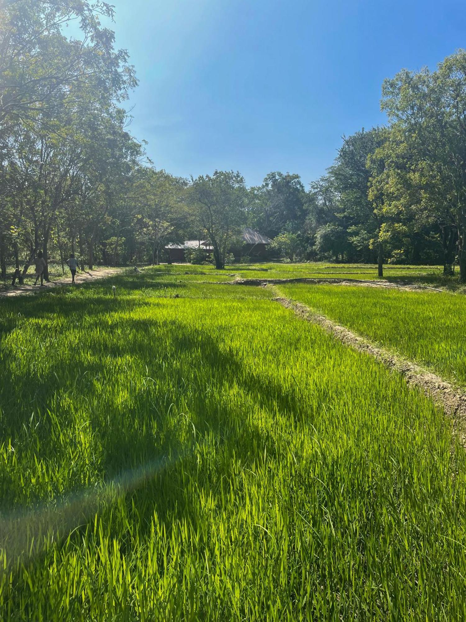 Sahana Retreat Buttala Εξωτερικό φωτογραφία