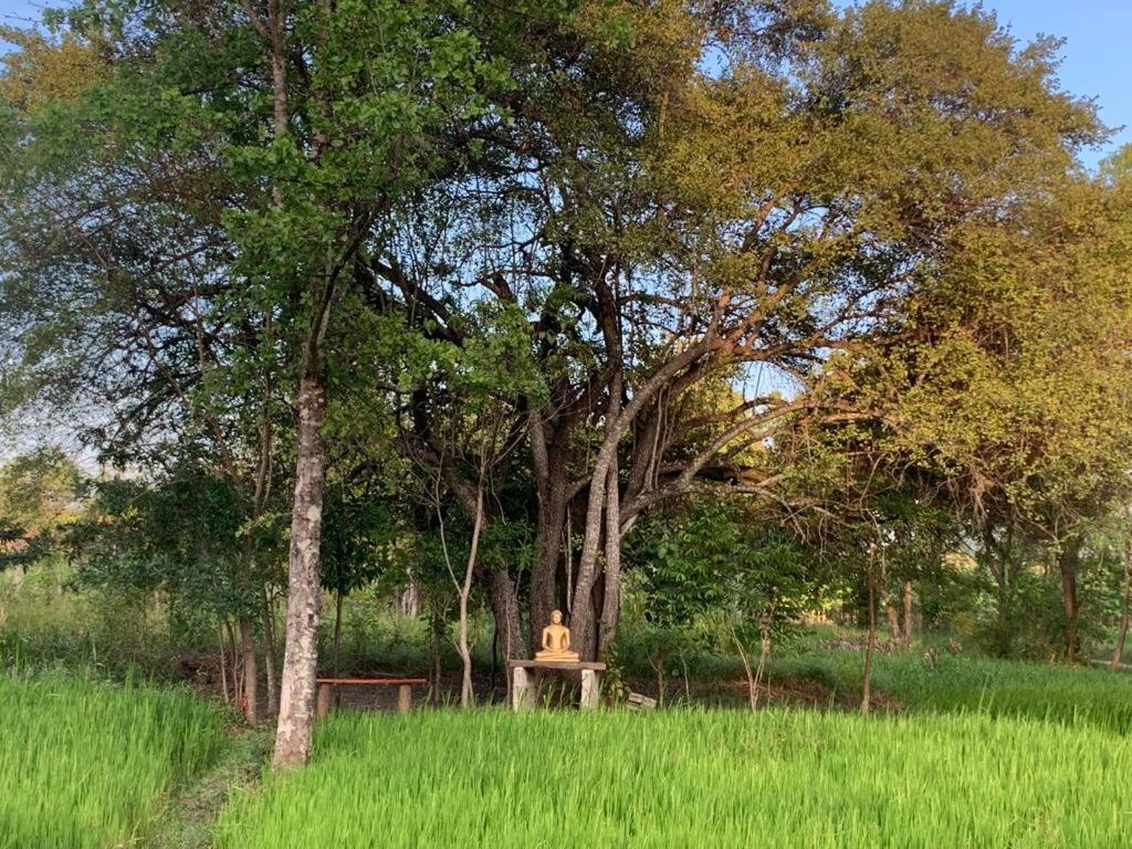 Sahana Retreat Buttala Εξωτερικό φωτογραφία