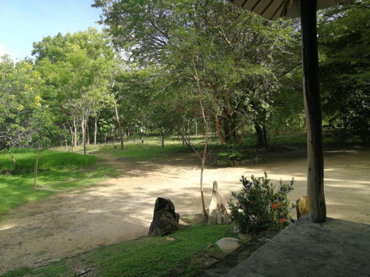 Sahana Retreat Buttala Εξωτερικό φωτογραφία